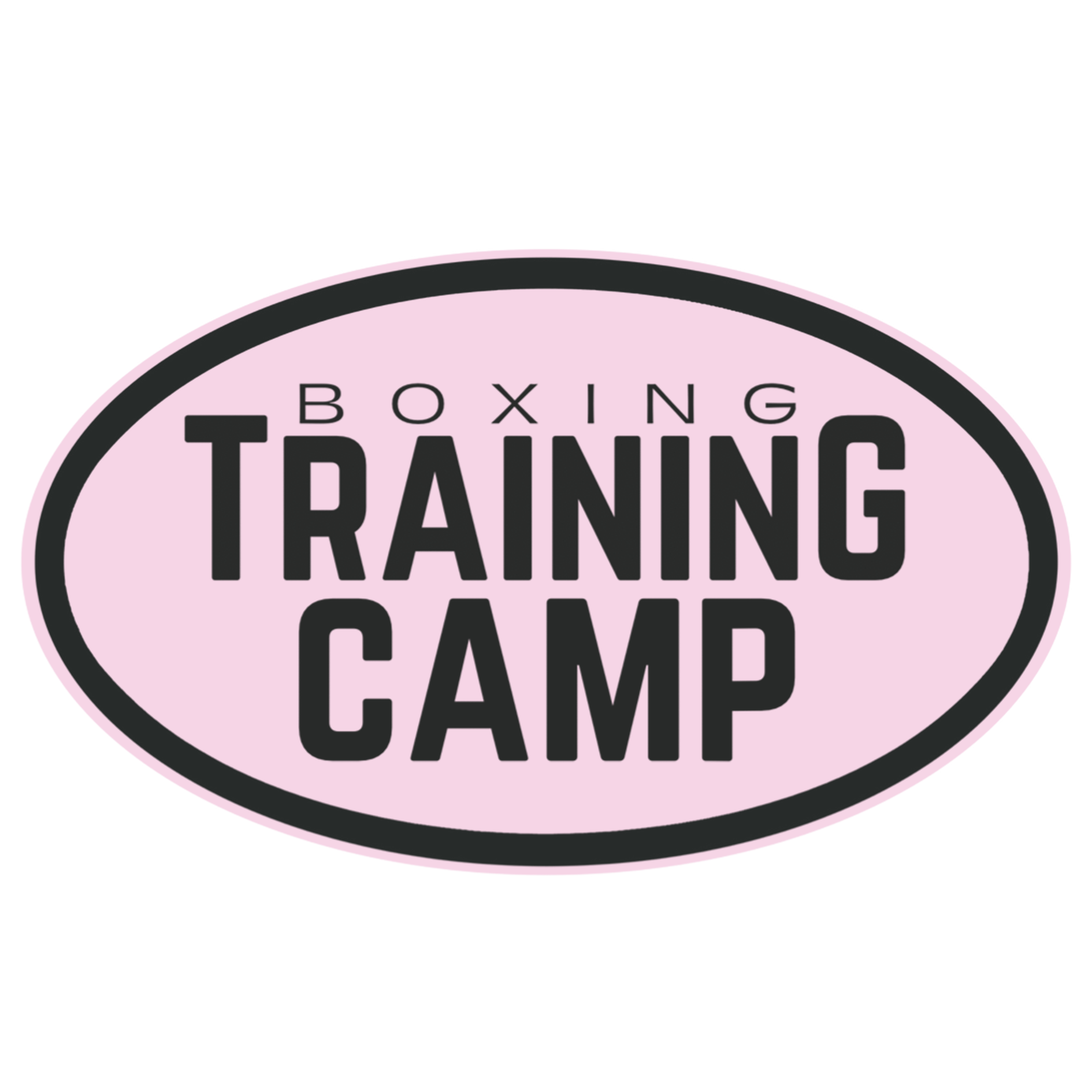 BoxingTrainingCamp