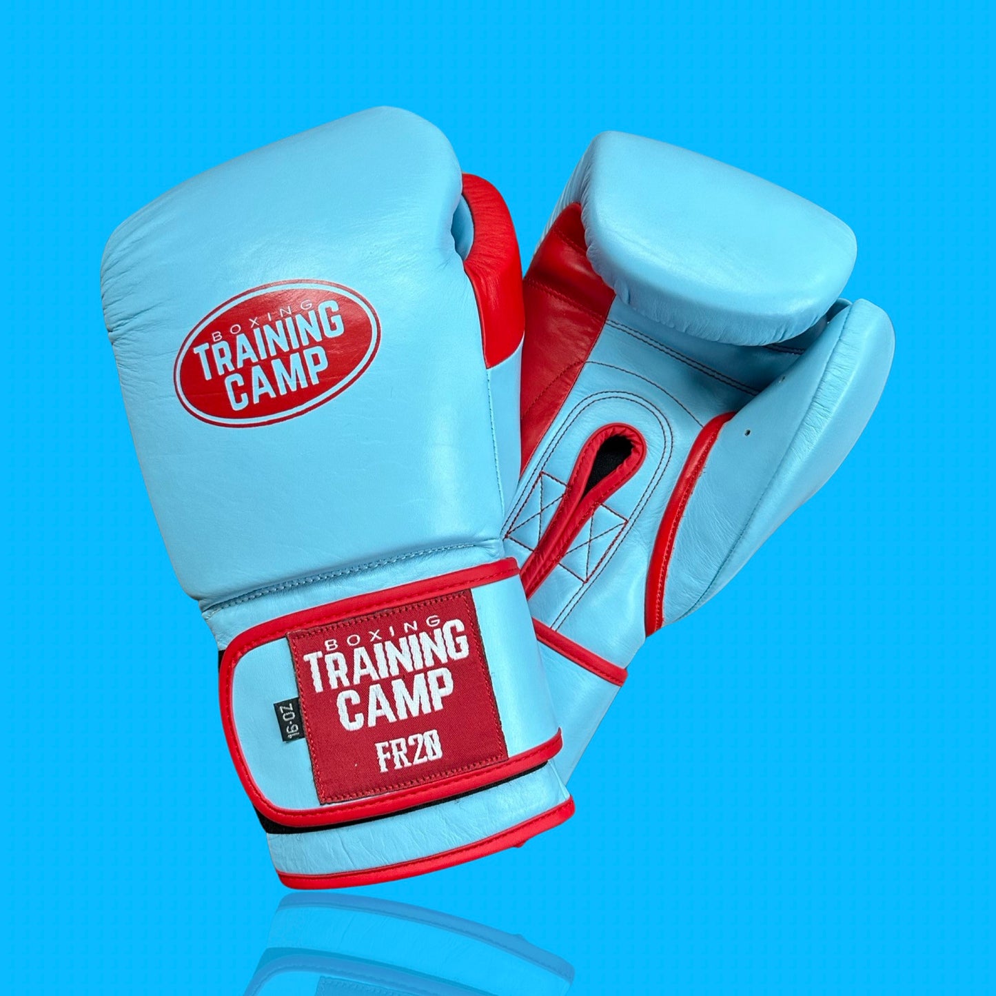 "Sky Blue" FR20 Training Gloves (Velcro)