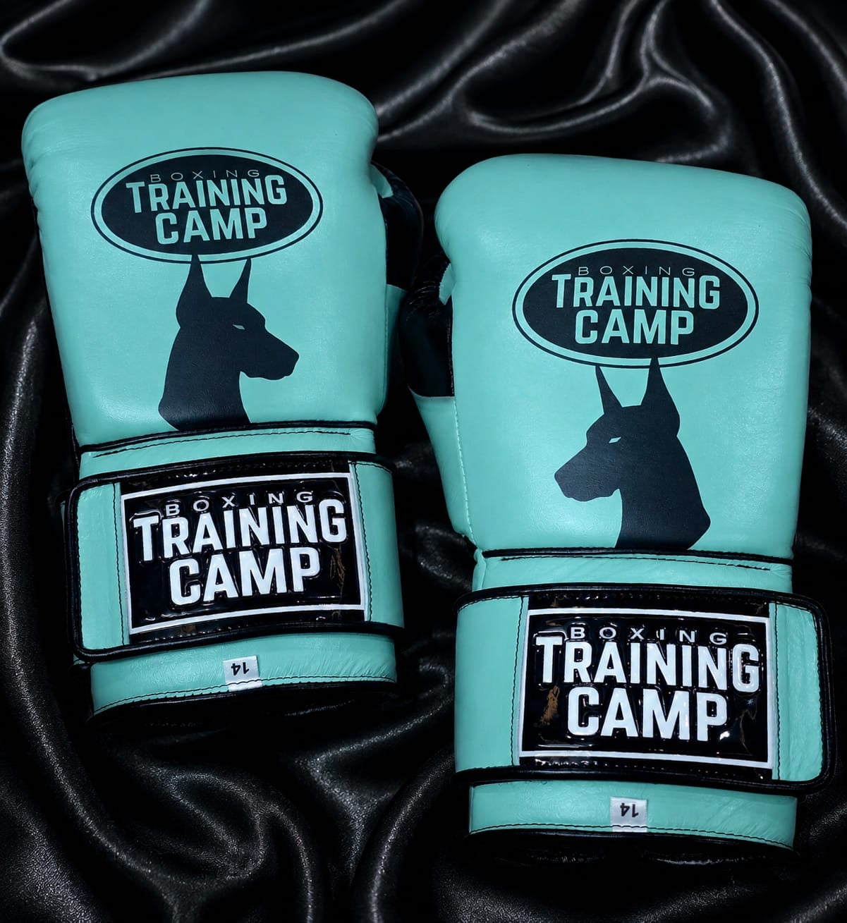 CUSTOM "ProOne" Sparring/Training Gloves (Lace Up/Velcro)