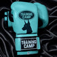 CUSTOM "ProOne" Sparring/Training Gloves (Lace Up/Velcro)