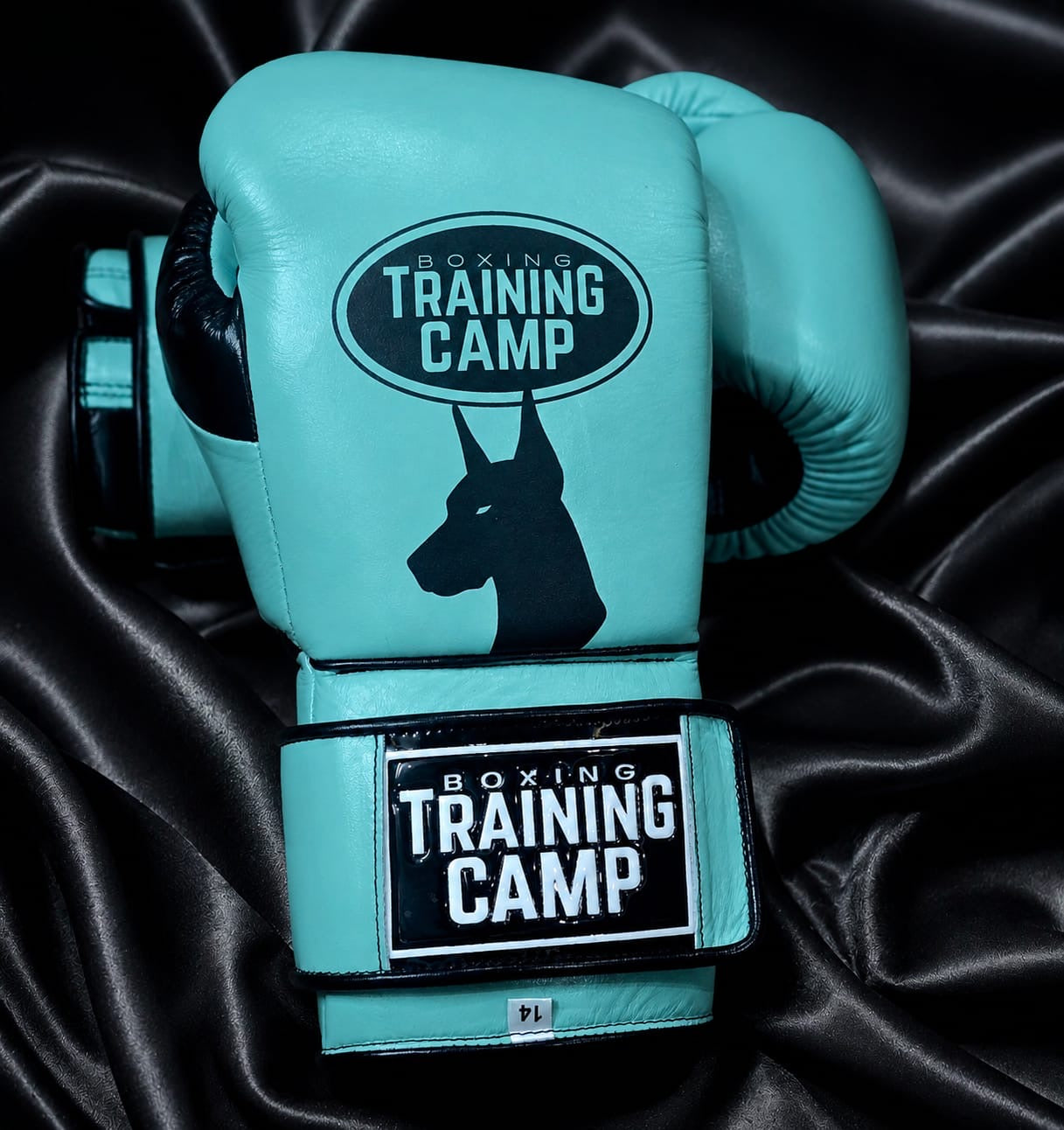 CUSTOM "ProOne" Sparring/Training Gloves (Lace Up/Velcro)