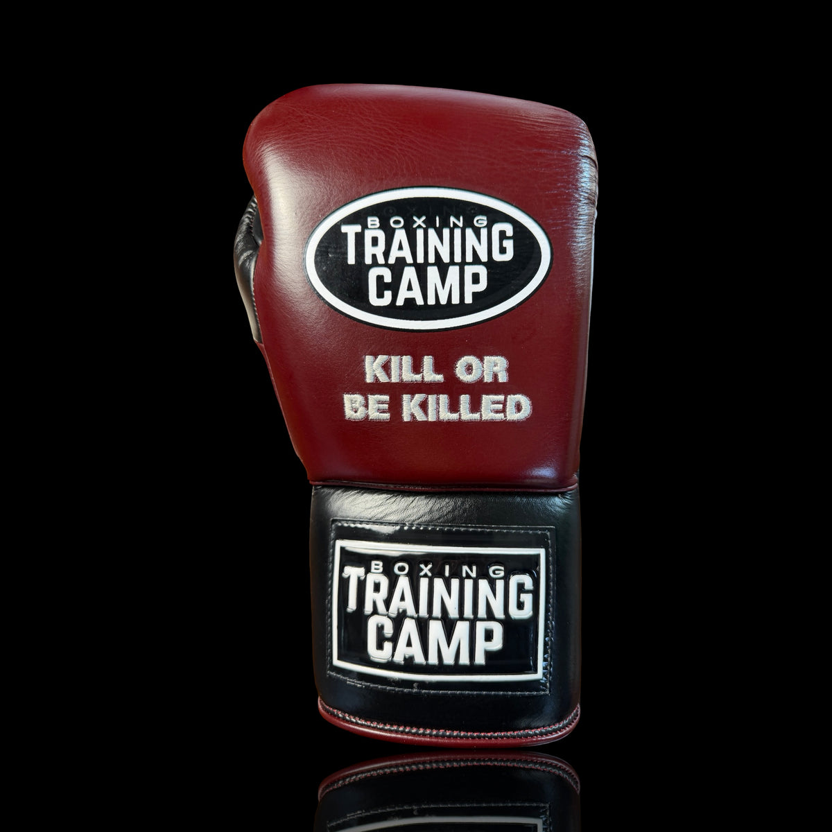 “KILL OR BE KILLED” ProOne Lace-Up Boxing Gloves