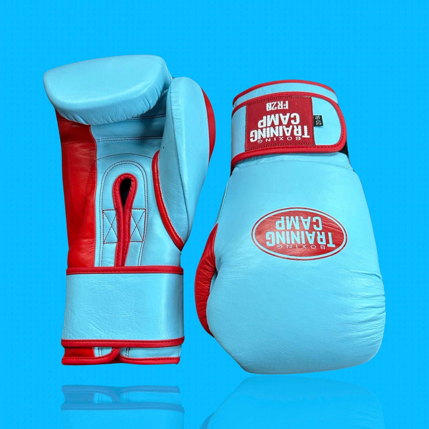 "Sky Blue" FR20 Training Gloves (Velcro)