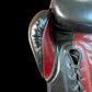 “KILL OR BE KILLED” ProOne Lace-Up Boxing Gloves