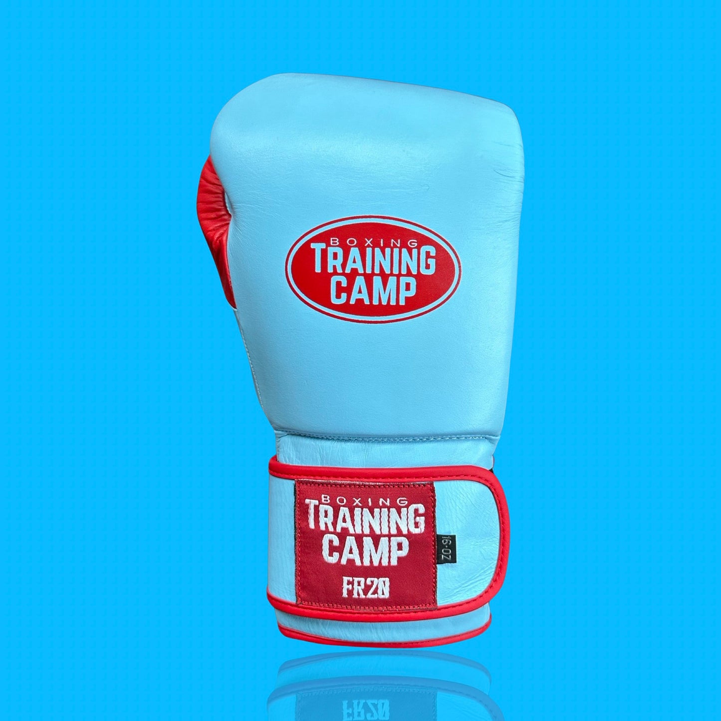 "Sky Blue" FR20 Training Gloves (Velcro)