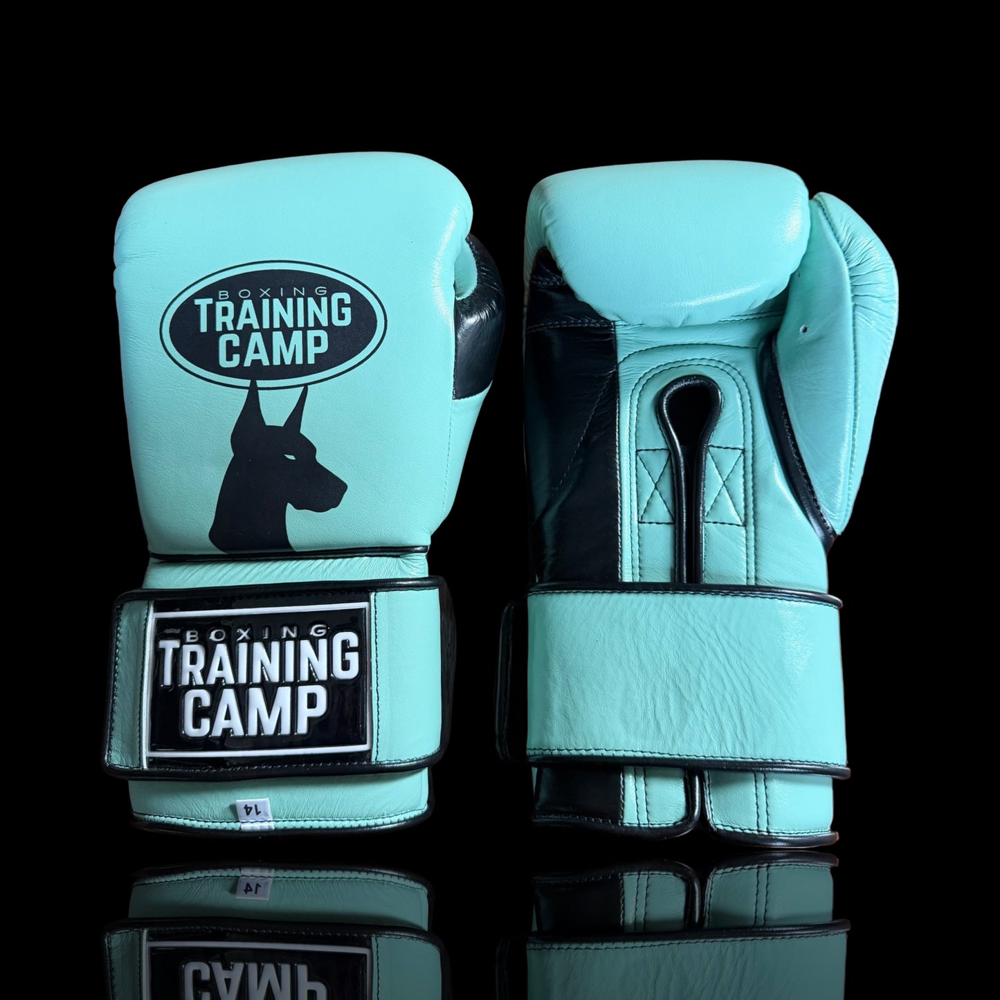 CUSTOM "ProOne" Sparring/Training Gloves (Lace Up/Velcro)