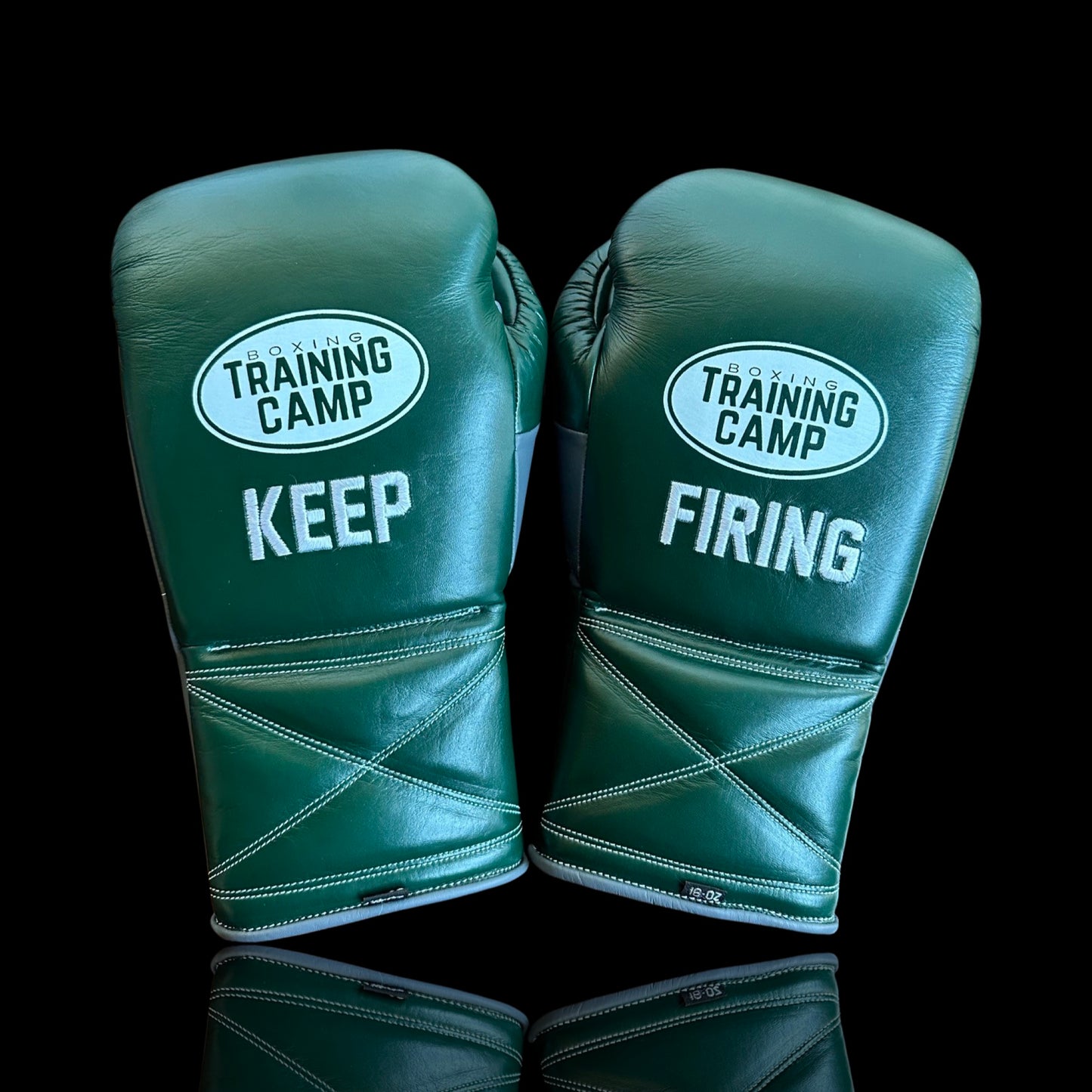 CUSTOM "ProOne" Sparring Glove (Lace UP)