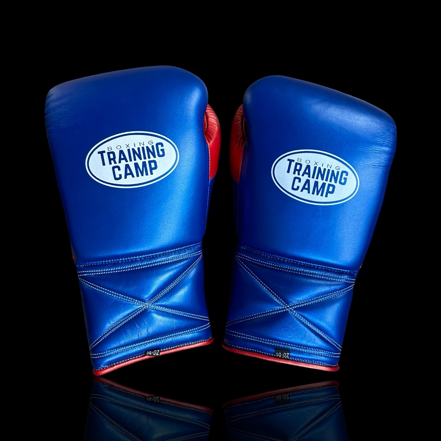 "Metallic Blue" - ProOne - Sparring/Training Gloves