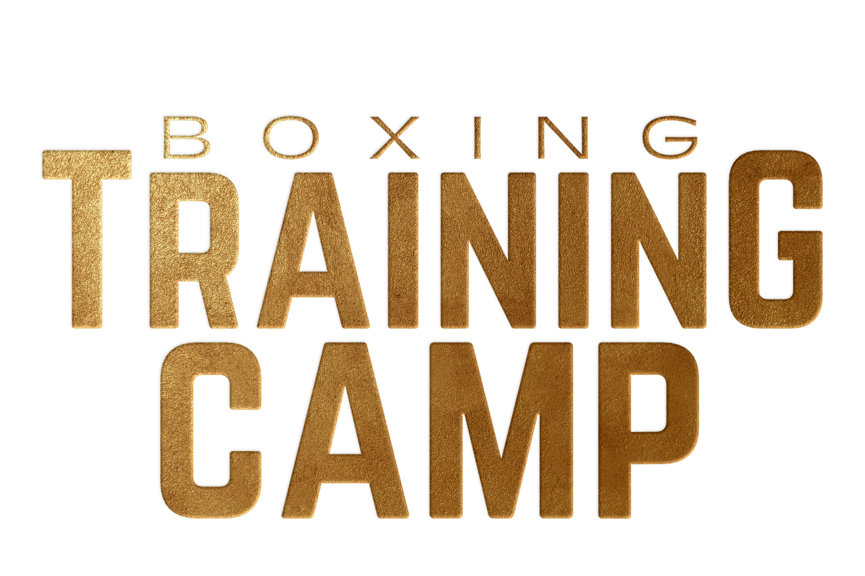 BoxingTrainingCamp