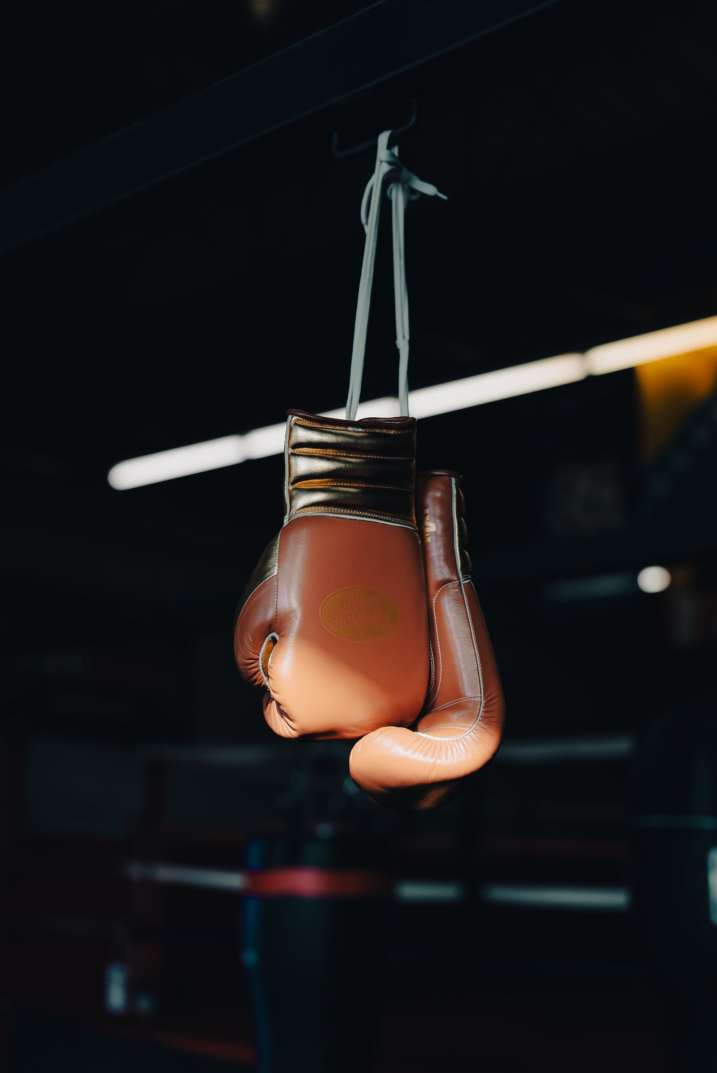 MX1 "VINTAGE BROWN" Sparring/Training Gloves [Lace Up]