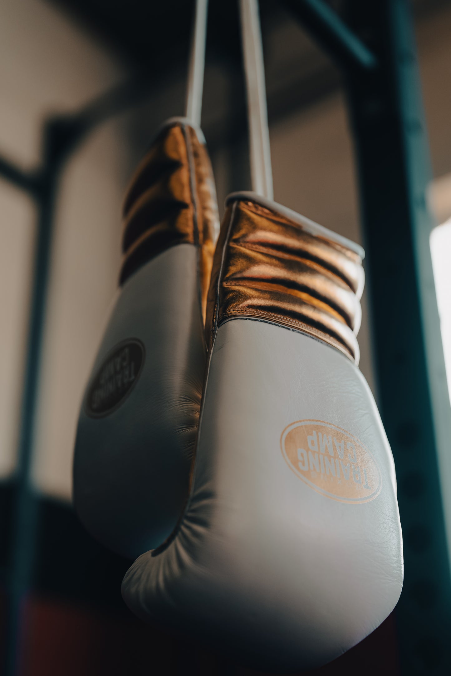 MX1 "WHITE/GOLD" Sparring/Training Gloves [Lace Up]